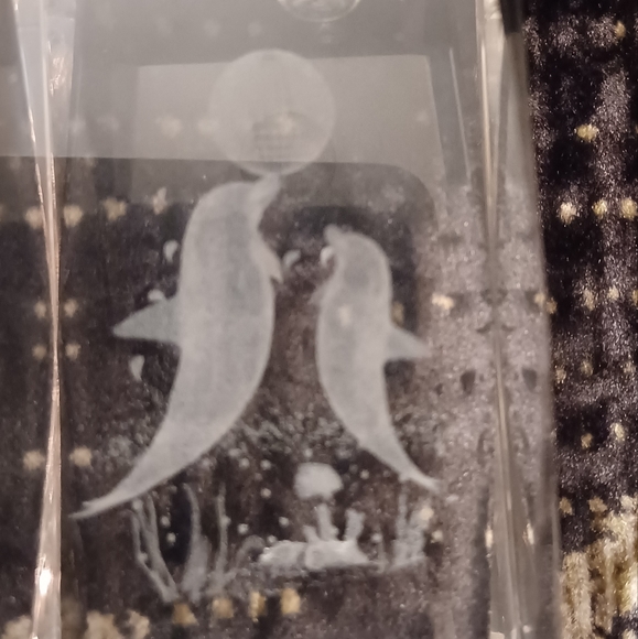 4/$40 Dolphins Playing Ball - 3D Image In a Clear Block/Paperweight - Picture 4 of 7